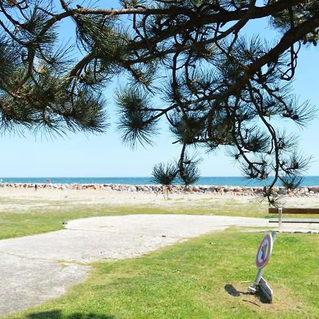 Appartement Cosy Avec Mezzanine, 6 Couchages, A 500M De La Mer - St Cyprien - Fr-1-225D-168 Saint-Cyprien  Εξωτερικό φωτογραφία